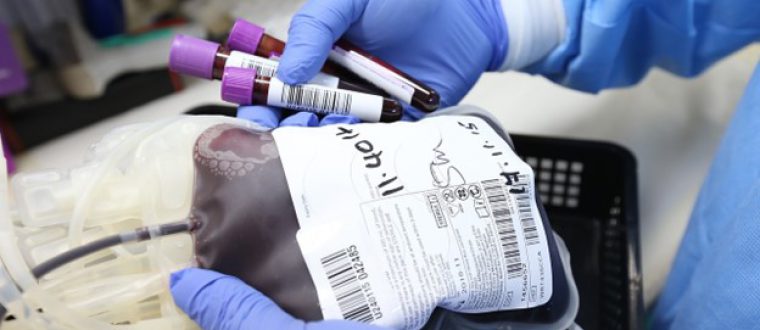 התרמת דם: למה זה חשוב כל כך?